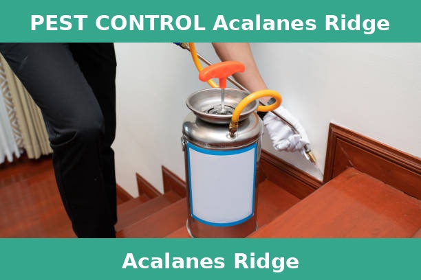 PEST CONTROL Acalanes Ridge